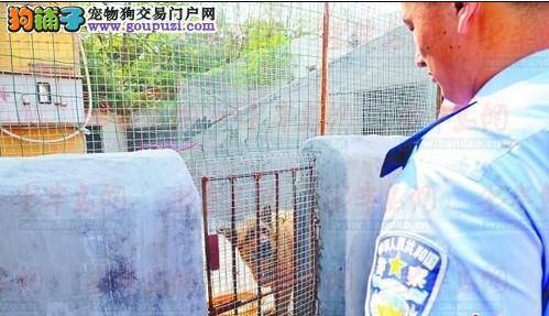 杭州正在开展夏秋季规范市民养犬行为活动