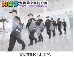 深圳机场启用上千警力携搜爆犬进行消防安全排查