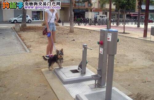 西班牙为狗狗建造公厕成世界首例