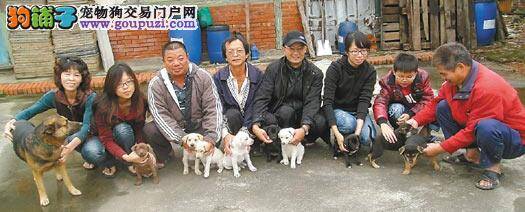 主人愿意照顾爱犬在外惹得风流债