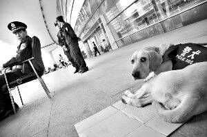 北京站北京西站北京南站三大火车站 特警持枪携犬巡逻