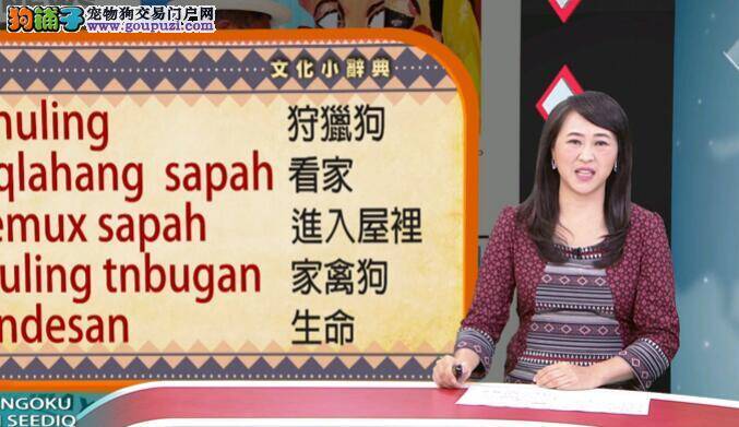 时代变迁 过去狩猎犬与现今宠物狗命运大不同