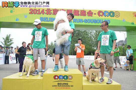 宠爱趣跑会“狗狗GO”活动在京举行