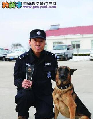 威海警犬战绩高 单科比赛获季军