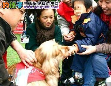 骑自行车走街串巷寻找13岁高龄爱犬