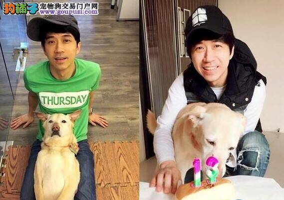 刚入行的搜毒犬立奇功 与民警一起侦破贩毒案