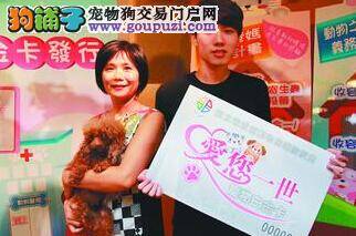 台湾地区首创“宠物白金卡” 提倡市民领养流浪猫狗