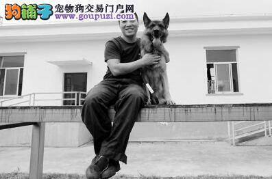 福州铁路警犬神勇无比 搜毒搜爆能力超凡