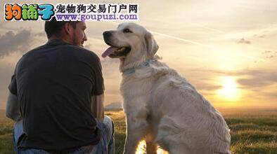 新鲜事儿：有名片的警犬协助警方宣传远离毒品活动