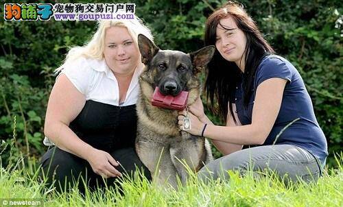 地震的瞬间，一只狗救了两母女