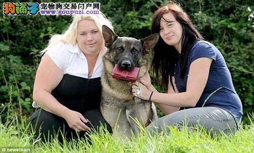 哈萨克斯坦一忠犬牺牲自己把主人从铁轨上救出