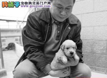 南京检验检疫局举办检疫犬开放日 出色检疫犬露绝活