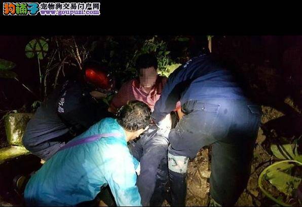 男子跌落山沟 家犬跑1.5公里回家狂吠求救