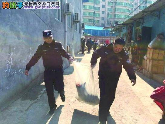 大型犬连伤两人 规范养犬刻不容缓