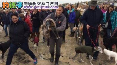 18岁狗狗安乐死之前，数百人牵着爱犬陪它散步