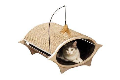 猫不睡猫窝怎么办？猫不睡猫窝的原因有哪些？