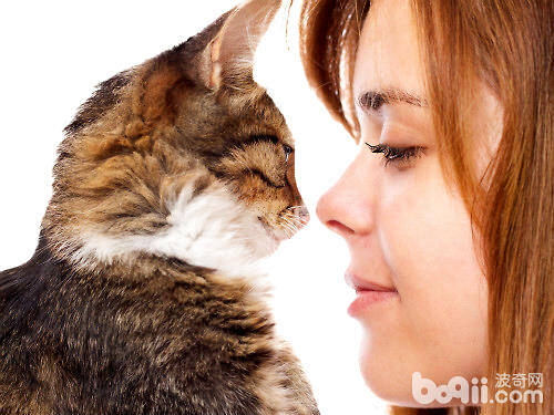 帮猫咪节食可以让你们更亲密？