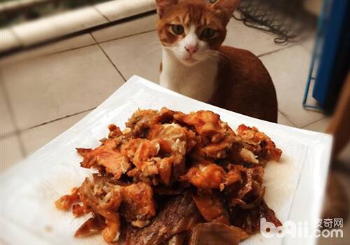 【美食攻略】自制猫咪零食之香烤三文鱼皮