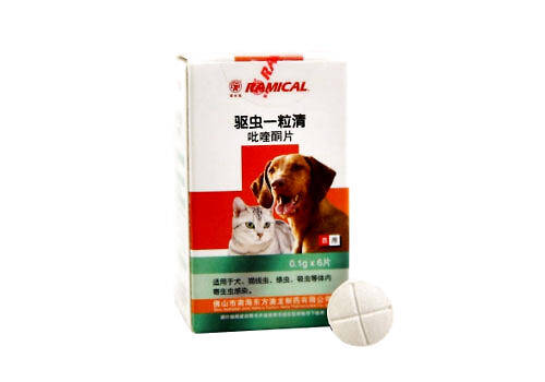 猫咪驱虫要定时定量吗？