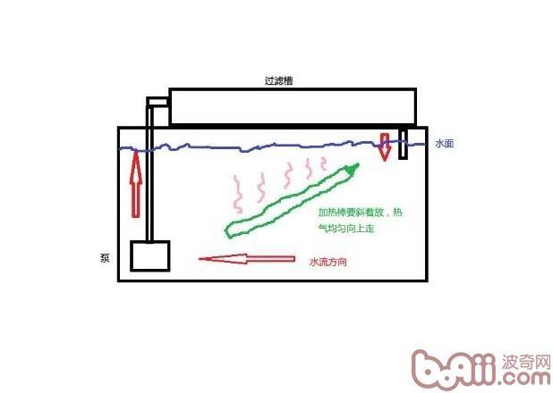 水族箱使用加热棒的注意事项