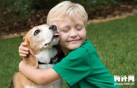 狗狗死了怎么办- 如何面对爱犬的死亡