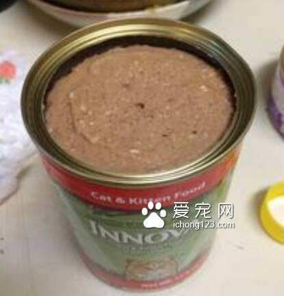 什么猫罐头最好 不建议长期给宠物食用罐头