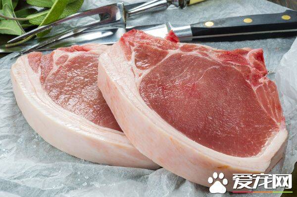 狗能吃猪肉吗