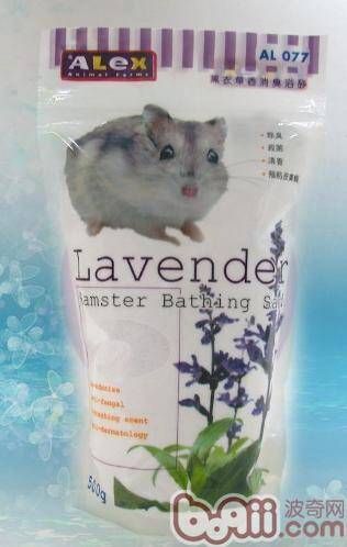 饲养仓鼠前要准备哪些用品