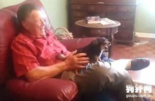 如果不是主人抱，狗狗马上就装死，这技能有点厉害！