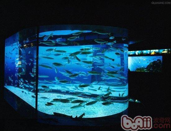 水族灯具有一些什么作用