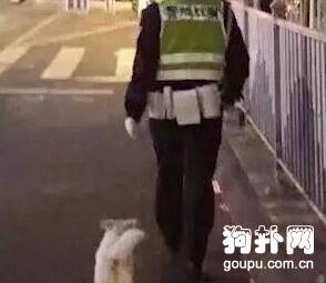 这么冷的夜晚，流浪狗紧跟交警不走！