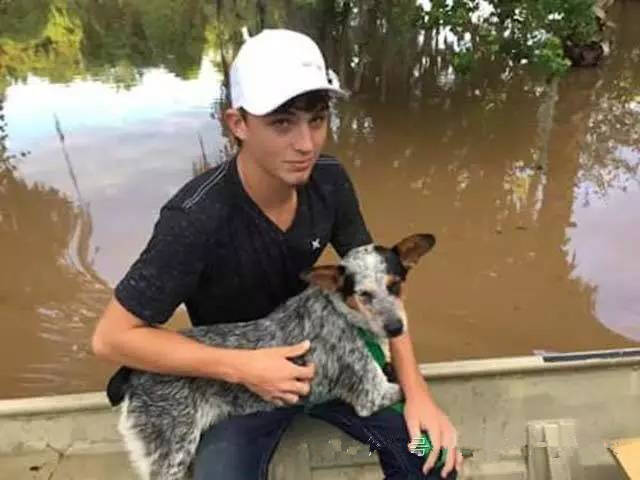 父子在洪水来袭时冒险救出被遗弃的狗狗