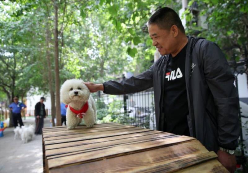 郑州某小区专门开设了遛狗专区 你对此有什么看法呢？