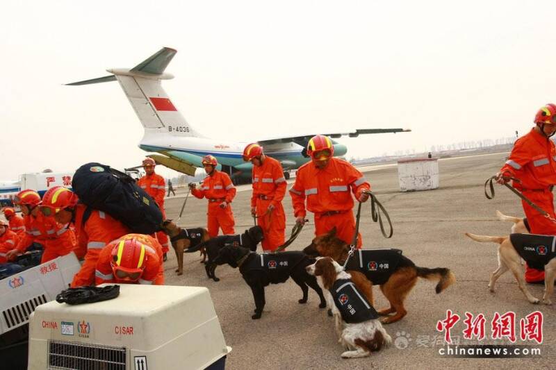 搜救犬抵达青海玉树出现高原反应,青海玉树地震