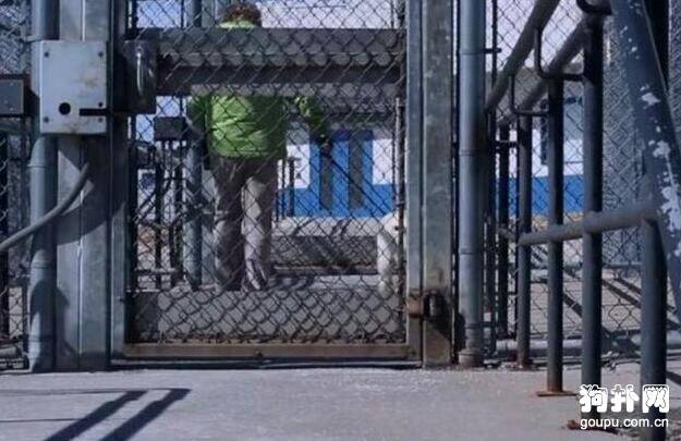 让罪犯养狗？不得不说，外国人真会玩