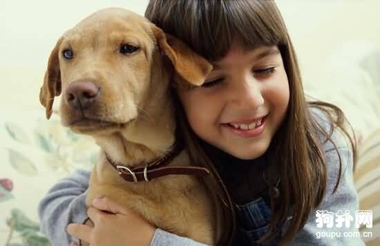 训练狗狗的时候爱犬根本不把奖励当奖赏怎么办