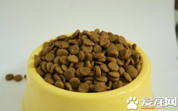 幼犬什么时候吃干狗粮 科学的喂养狗狗才更健康