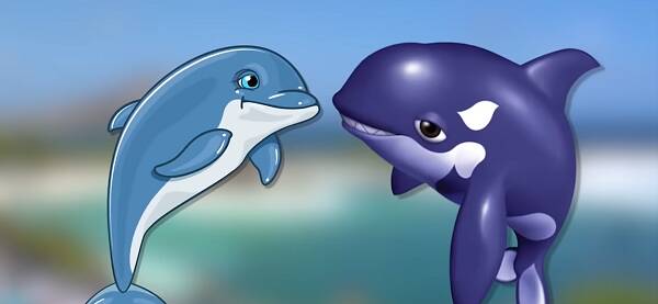 这是5个最神奇的混血动物 有一种世界上只有两只