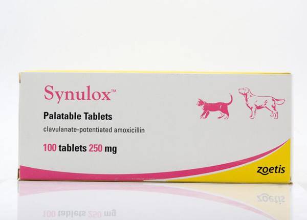 速诺片说明书猫的用量