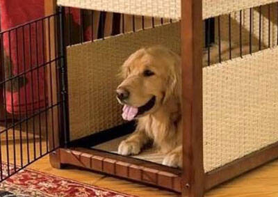 如何训练狗狗安静的待在狗笼子,狗狗