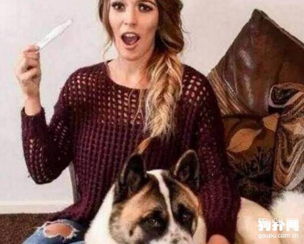 女孩怀孕数月，狗狗却总用鼻子顶她，到底想干什么？