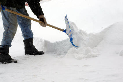 主人忙着铲雪，超萌汪星人也来凑热闹