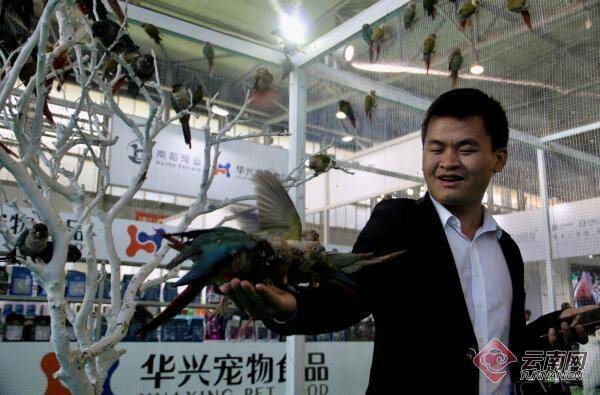 第四届中国昆明东盟宠物博览会今日开幕 展出面积达20000平方米