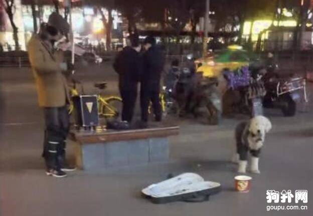 带狗狗街头卖艺被爱狗人士狂喷，到底有什么问题？