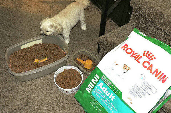 皇家狗粮怎么样