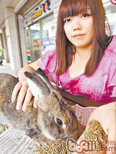 常用的几种兔饲料介绍