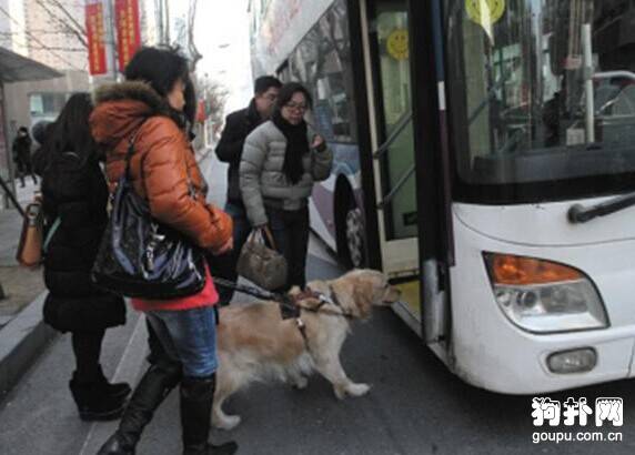 乘客不让狗狗上车，司机一句话大家都闭嘴了