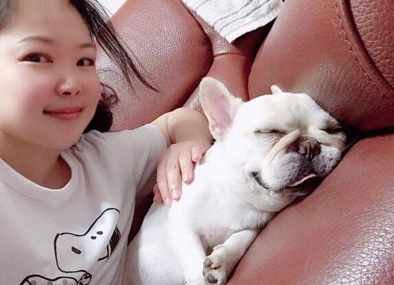 短鼻狗“馒头”妈妈找了3年 终于买到贴近医疗需求的宠物险