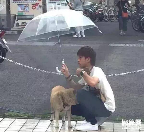 大雨天狗狗被栓路边，暖心小哥哥为其打伞