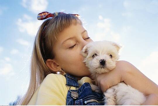 博美犬的训练方法-  博美随行训练